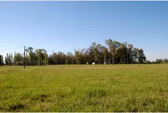 Lote En Chacra El Rincon – Timbues — imagen 13