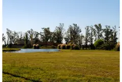 Lote En Chacra El Rincon – Timbues — imagen 5