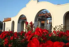 Lote En Chacra El Rincon – Timbues — imagen 4