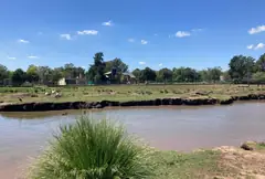 Maxi Lote de 8.000 m2 en Pueblo Esther - Apto Credito — imagen 6