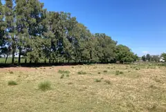 Maxi Lote de 8.000 m2 en Pueblo Esther - Apto Credito — imagen 1