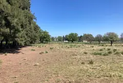 Maxi Lote de 8.000 m2 en Pueblo Esther - Apto Credito — imagen 3