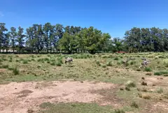 Maxi Lote de 8.000 m2 en Pueblo Esther - Apto Credito — imagen 13
