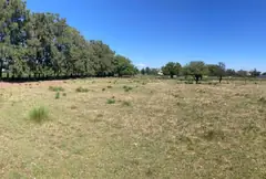 Maxi Lote de 8.000 m2 en Pueblo Esther - Apto Credito — imagen 2