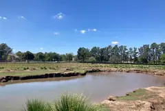Maxi Lote de 8.000 m2 en Pueblo Esther - Apto Credito — imagen 7