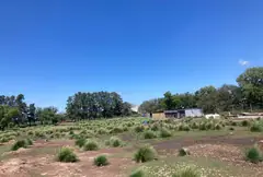 Maxi Lote de 8.000 m2 en Pueblo Esther - Apto Credito — imagen 8